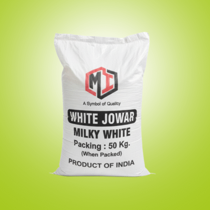 White sorghum / الذرة الرفيعة البيضاء