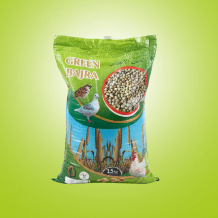 Green Millet/ الدخن الأخضر